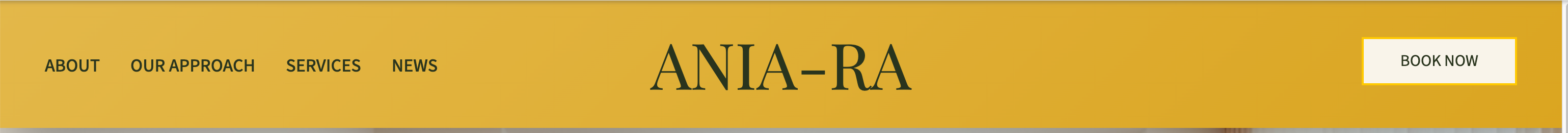 The old header on a wide screen: About, Our Approach, Services and News on the left, the Ania-Ra logo in the center, and a Book Now button on the right.